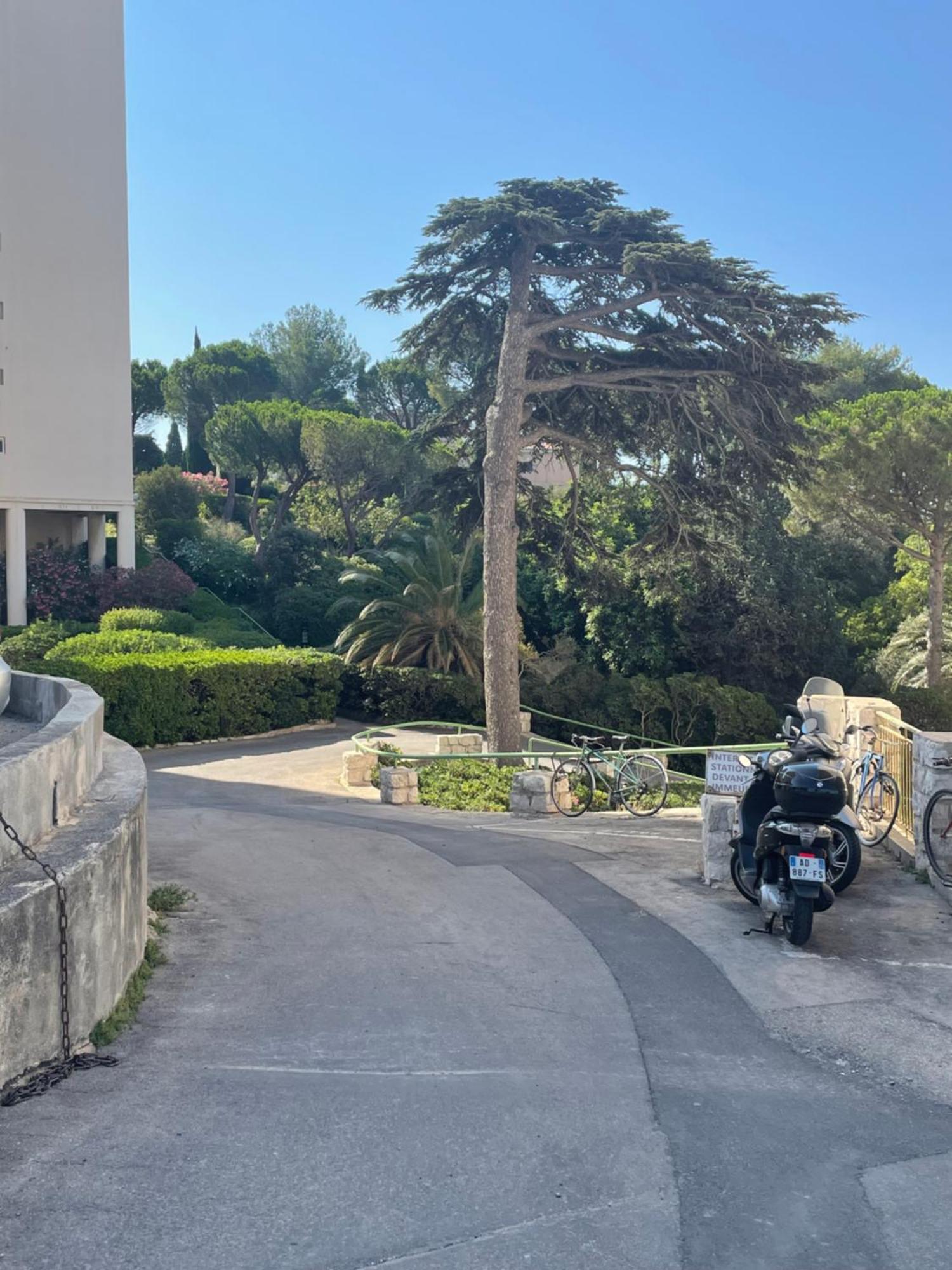 Apartamento Vu Sur Mer Corniche Marsella Exterior foto